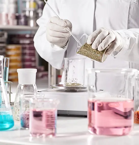 fokus agro nusantara