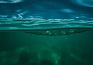 Oil Spill Dispersant